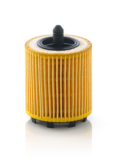 Oil Filter MANN-FILTER HU 6007 x